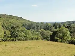 Le Grand Caillouet