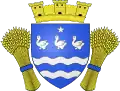 Blason de Cerny
