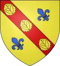 Blason