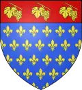 Blason de Villeneuve-le-Roi