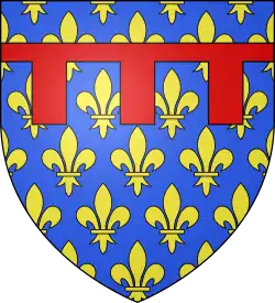 D'azur semé de lys d'or au lambel de gueules.Ce sont les armes de Charles, frère de saint Louis, dernier fils de Louis VIII, brisant par un lambel celles de son père. À travers les nombreuses et prestigieuses alliances de la maison capétienne d'Anjou-Sicile qu'il fonde, ces armes se rencontrent dans toute l'héraldique européenne.