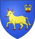 Blason de Couffy