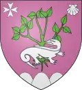 Salamandre contournée brochant sur le fayard. Ville de La Fage-Montivernoux (Lozère).