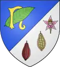 Daniel Vachez
