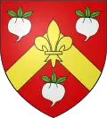 Blason de Rabastens-de-Bigorre