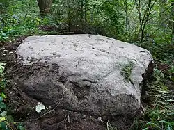Roche basse du Mulot sur la rive droite du ruisseau du Gras en bordure du chemin du Neufmont.