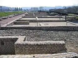 Vue de murs antiques arasés.