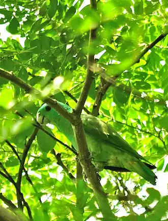 Description de cette image, également commentée ci-après