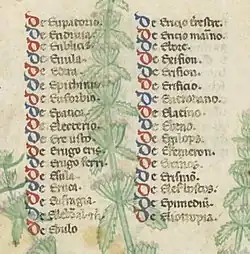 Détail d'une page de manuscrit montrant une liste de titres sur deux colonnes, dont l'initiale D est colorée en alternance de bleu et de rouge, recouvrant partiellement les tiges fleuries d'une germandrée