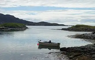 Dans le lointain : île de Ronay