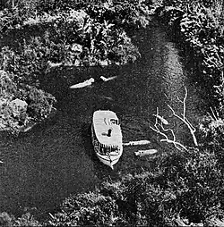 Jungle Cruise à Disneyland