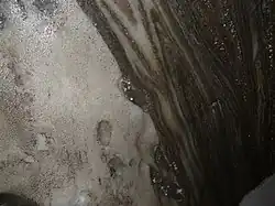 Fines couches de halite, plissées. Mines de sel de Wieliczka et de Bochnia (voïvodie de Petite-Pologne, Pologne).