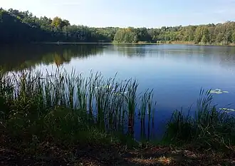 Image illustrative de l’article Bogensee