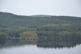 Le bois de Crozat, à l'arrière-plan.