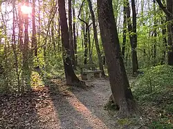 Un banc au bord du chemin.