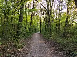 La promenade Panissod.