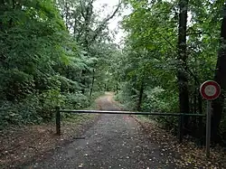 Route forestière dans le bois des Vouillants.