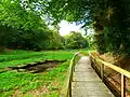 Photographie en couleurs d’une passerelle en bois longeant un lavoir, dans un sous-bois.