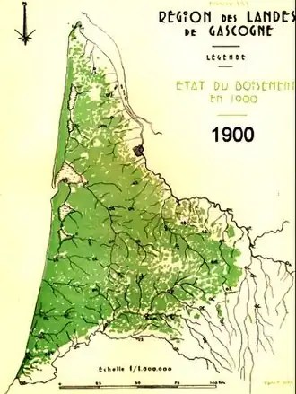 1900