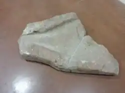 Gargouille du château de Boissezon de Matviel