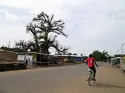 Bolgatanga