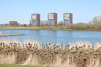 Bâtiments longeant la Nouvelle Meuse, sur Maasboulvard.