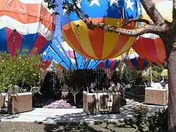 Balloon Flight‍