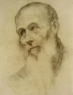Tête d'homme barbu, XVIe&nbsp;siècle   Bonifazio Veronese