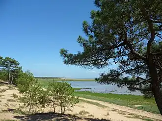 La baie de Bonne-Anse.