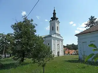 Slatina (Bor)