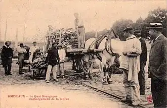 Quai Bourgogne, déchargement de la morue, vers 1900-1905.