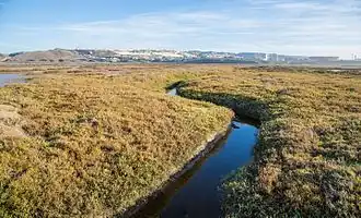 Border Field State Park&nbsp;(en)
