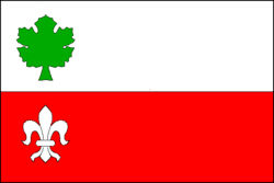 Drapeau de Bordovice