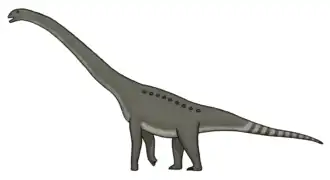 Description de l'image Borealosaurus reconstruction.png.
