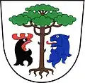 Blason de Borovnice