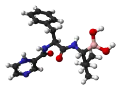 Image illustrative de l’article Bortézomib