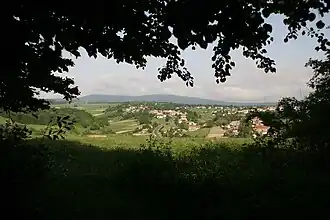 Borzavár