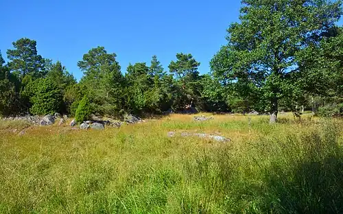 Pâturage à Boskapsön..