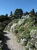 Jardin alpin.