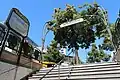 Édicule Guimard de la station Porte d'Auteuil