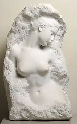 Volubilis, Musée des Beaux-Arts de Lyon