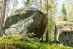 Deux blocs erratiques sur des mousses avec en arrière-plan une forêt de conifères.