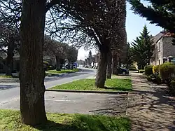 Boulevard Étienne Hardy et ses tilleuls centenaires.