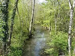 Le Boulou, en amont du pont de la route départementale 106, en limite de Creyssac (à gauche) et de Bourdeilles.
