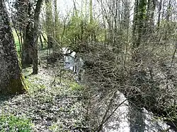 Au nord du bourg de Saint-Crépin-de-Richemont.