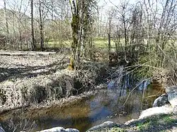 Près du lieu-dit le Meyrat, ZNIEFF du Boulou aval.