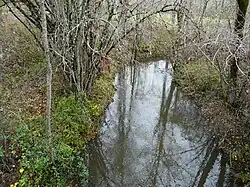 Le Boulou sert de limite entre Paussac-et-Saint-Vivien et Saint-Julien-de-Bourdeilles.