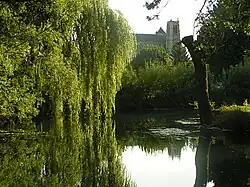 La cathédrale vue des marais.