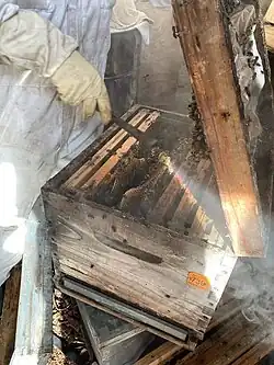 Apiculteur intervenant sur une ruche.