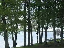 Rives boisées et ombragées.